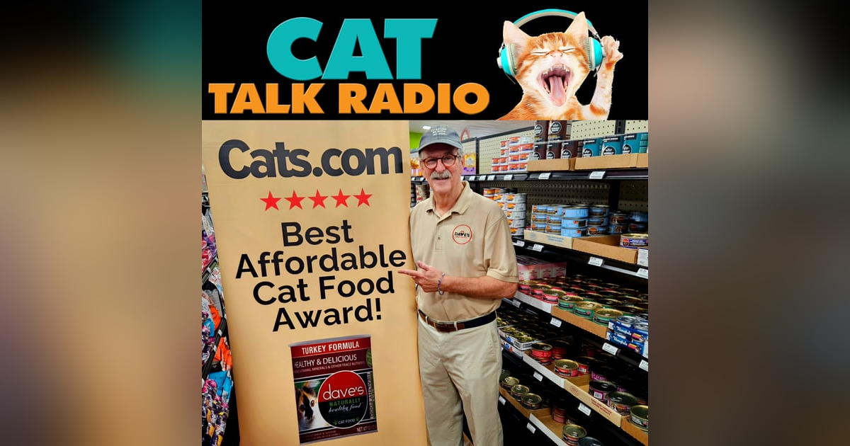 Feeding Cats Right: Affordable Nutrition Without Compromise - A Conversation with Dave Ratner Feeding Cats Right: Affordable Nutrition Without Compromise - A Conversation with Dave Ratner