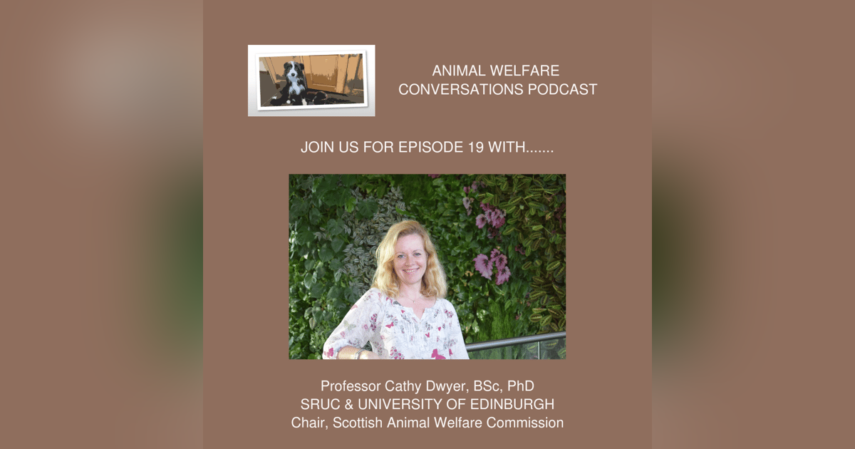 Episode 19: Prof Cathy Dwyer - Using the Evidence to Support Animal Welfare Episode 19: Prof Cathy Dwyer - Using the Evidence to Support Animal Welfare