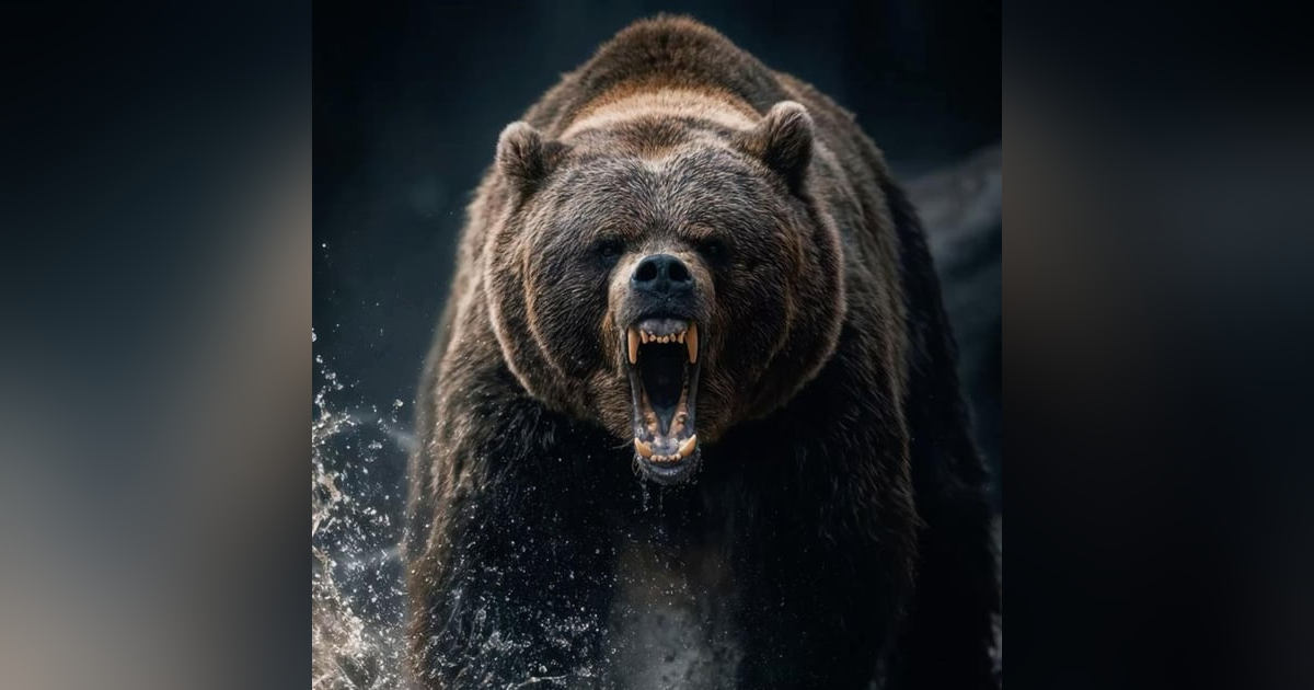 The Twenty-Ninth Day: Surviving a Grizzly Attack in the Canadian Tundra The Twenty-Ninth Day: Surviving a Grizzly Attack in the Canadian Tundra