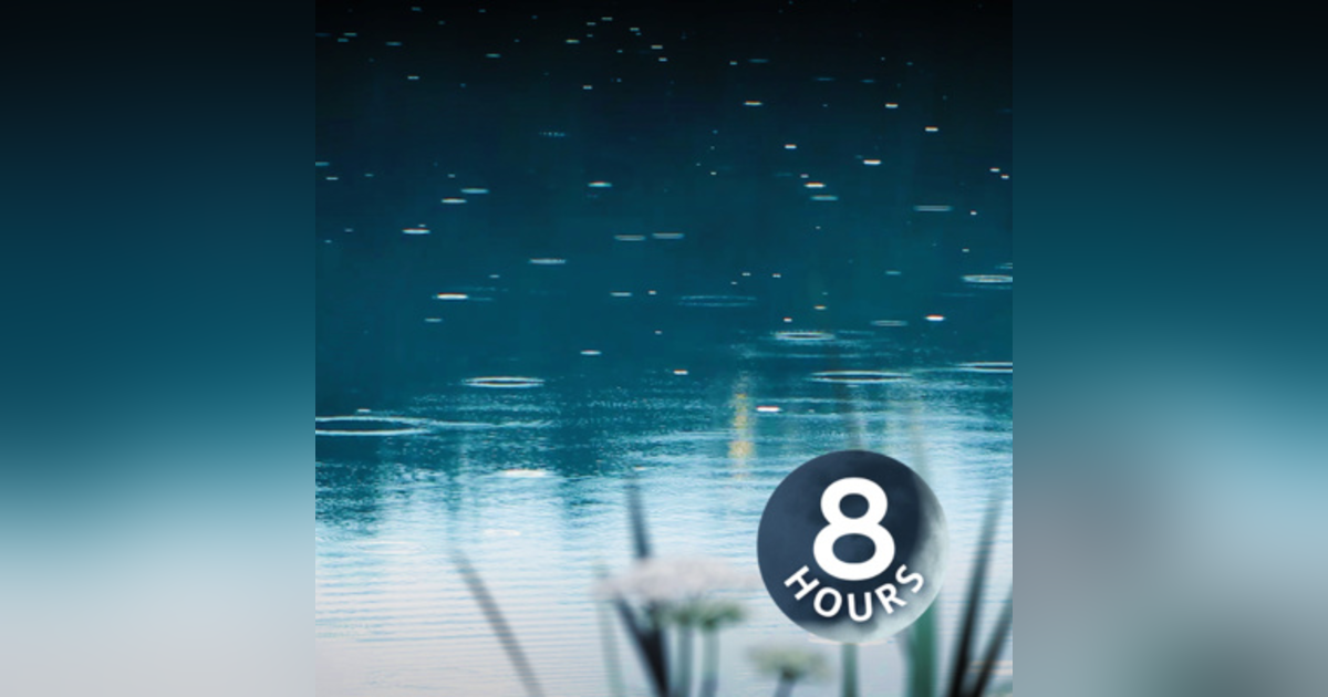 Rain on Pond White Noise 8 Hours | Sleep, Study, or Focus with Relaxing Rainstorm Sound Rain on Pond White Noise 8 Hours | Sleep, Study, or Focus with Relaxing Rainstorm Sound