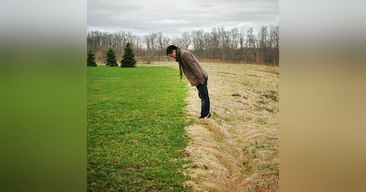 When the Grass IS NOT Greener on the other side of Business Startup When the Grass IS NOT Greener on the other side of Business Startup