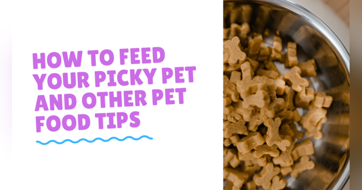 Conversations With Coryelle- Picky Eater Conversations With Coryelle- Picky Eater