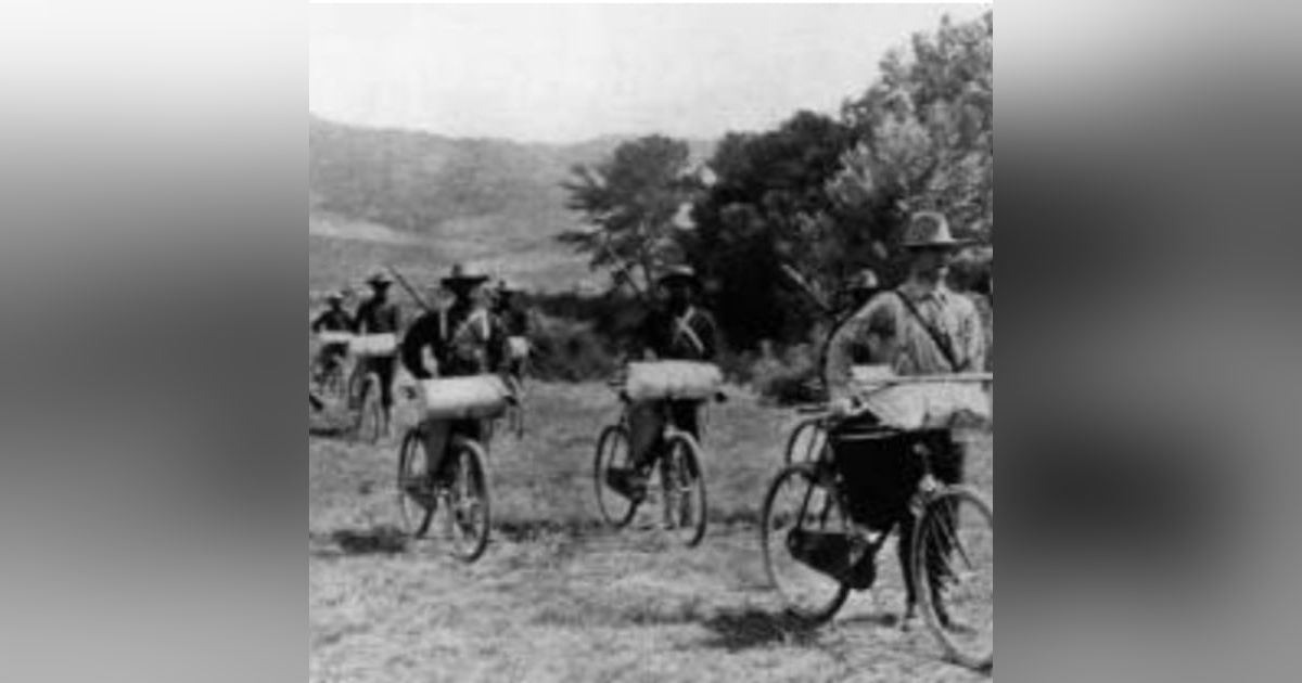 The Biking Buffalo The Biking Buffalo