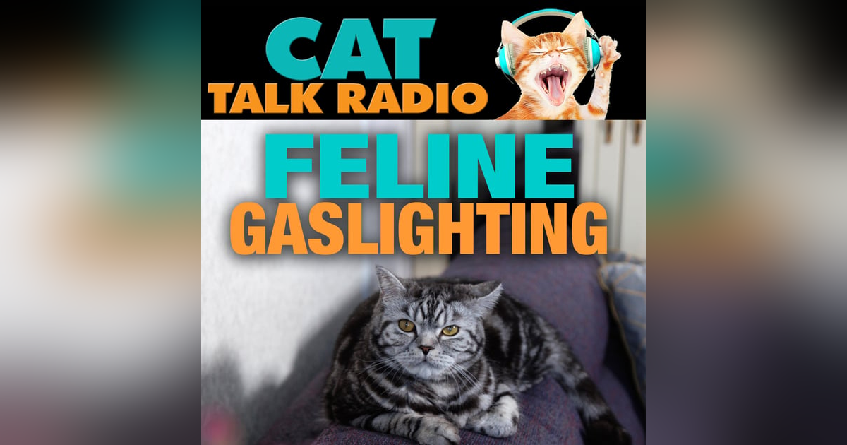 Feline Gaslighting: Why Your Cat Acts Differently Around Different People Feline Gaslighting: Why Your Cat Acts Differently Around Different People