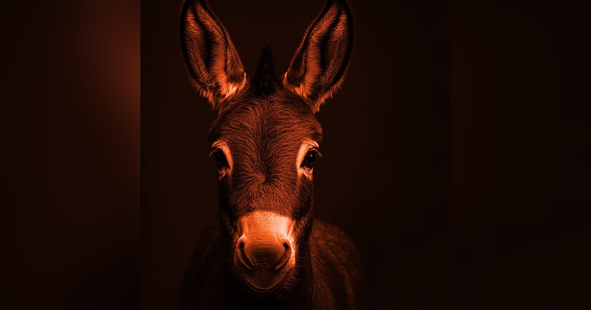 Mi Abuelo Robó Un Objeto MALDITO Historias De Terror - REDE Mi Abuelo Robó Un Objeto MALDITO Historias De Terror - REDE