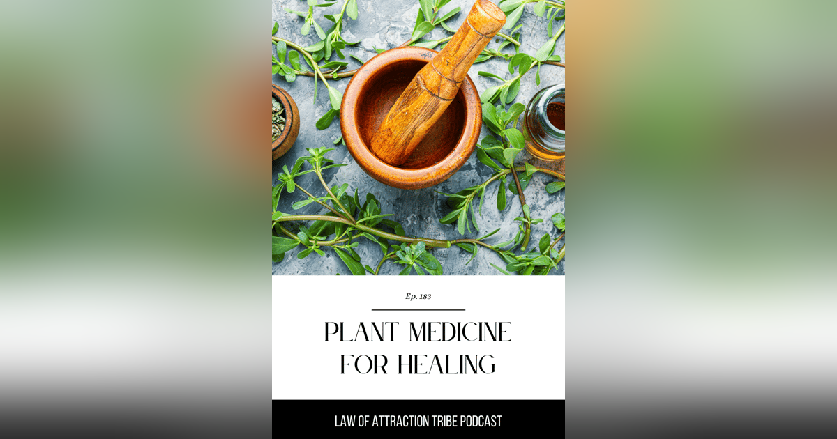 IT'S TIME TO BUILD A BRIDGE BETWEEN ANCIENT MEDICINE AND MODERN DAY LIFE: INTERVIEW WITH DAISY IT'S TIME TO BUILD A BRIDGE BETWEEN ANCIENT MEDICINE AND MODERN DAY LIFE: INTERVIEW WITH DAISY