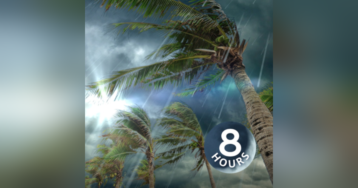Tropical Storm Rain Sounds 8 Hours | Sleep, Study or Relax with Rainstorm White Noise Tropical Storm Rain Sounds 8 Hours | Sleep, Study or Relax with Rainstorm White Noise