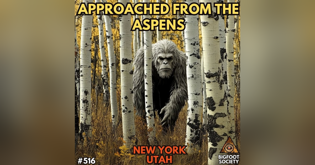 A Scientist Comes to Grip with the Paranormal Side of Bigfoot A Scientist Comes to Grip with the Paranormal Side of Bigfoot