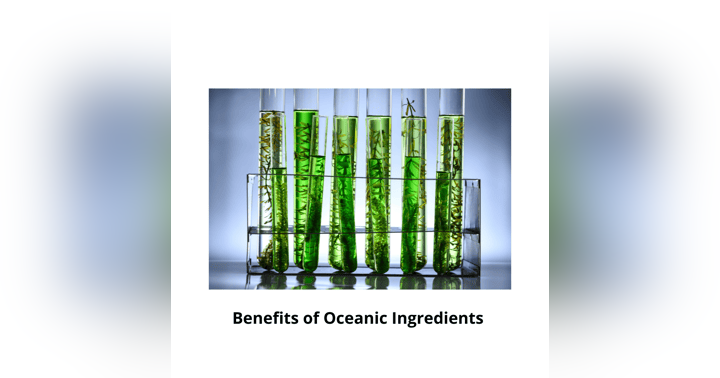 image for The Ocean Within: How Sea Algae Is Revolutionizing Skincare