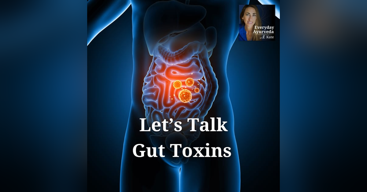 04: Gut Health 101: Kate Talks Toxins 04: Gut Health 101: Kate Talks Toxins