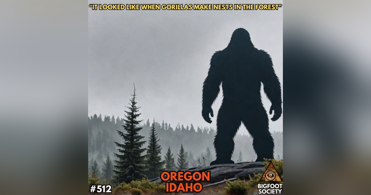 The Old-Timer and the Bigfoot: A Conversation with Riley Woolner The Old-Timer and the Bigfoot: A Conversation with Riley Woolner