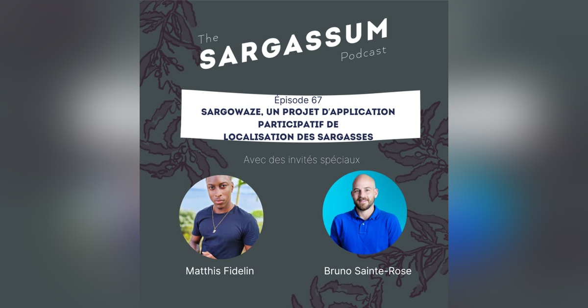 E67 Sargassum podcast avec Sargowaze, un projet d’application participatif de localisation des sargasses E67 Sargassum podcast avec Sargowaze, un projet d’application participatif de localisation des sargasses