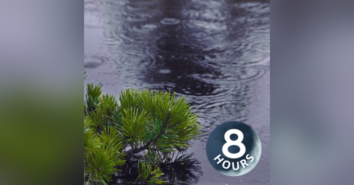 Rain Falling on Pond with Rolling Thunder 8 Hours | Natural White Noise for Relaxation and Sleep Rain Falling on Pond with Rolling Thunder 8 Hours | Natural White Noise for Relaxation and Sleep
