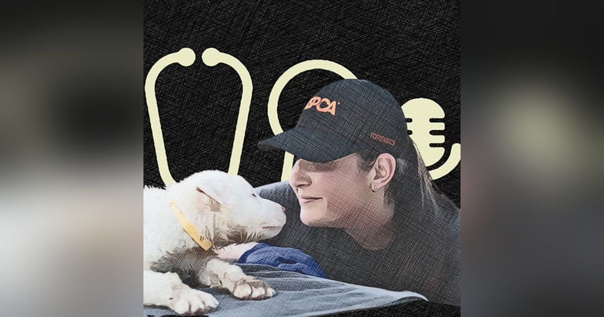 #119: You’re Already a Forensic Vet - You Just Didn’t Know It: How to Get Better at It, and Why It Matters. With Dr Elizabeth Pearlman #119: You’re Already a Forensic Vet - You Just Didn’t Know It: How to Get Better at It, and Why It Matters. With Dr Elizabeth Pearlman