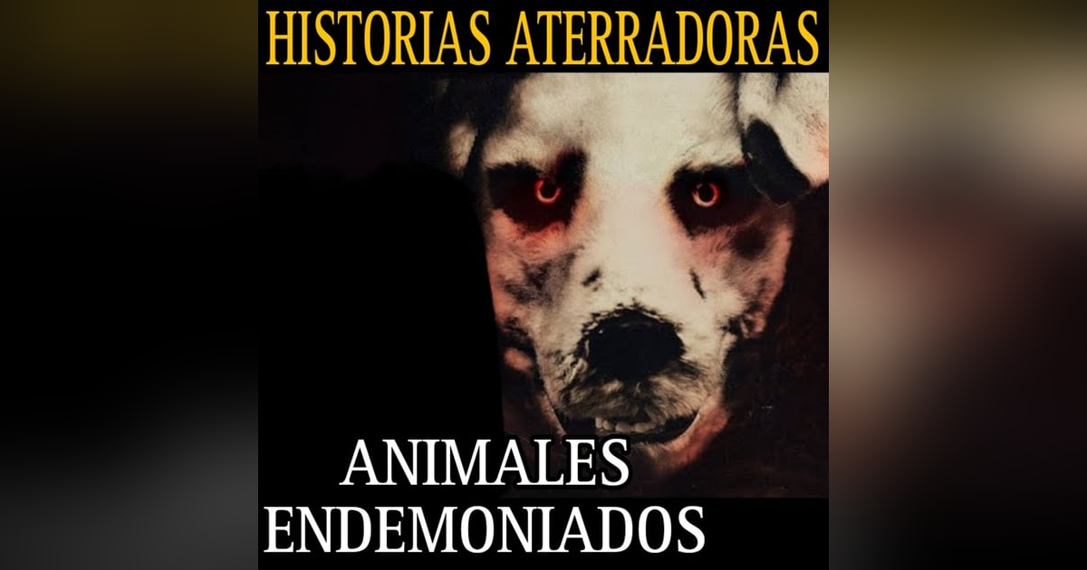 CUIDE A UN GATO QUE ERA UTILIZADO EN BRUJERIA / MARATON DE RELATOS DE ANIMALES ATERRADORES / L.C.E. CUIDE A UN GATO QUE ERA UTILIZADO EN BRUJERIA / MARATON DE RELATOS DE ANIMALES ATERRADORES / L.C.E.