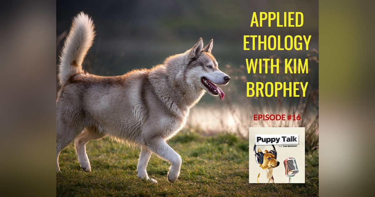 Applied Ethology with Kim Brophey Applied Ethology with Kim Brophey