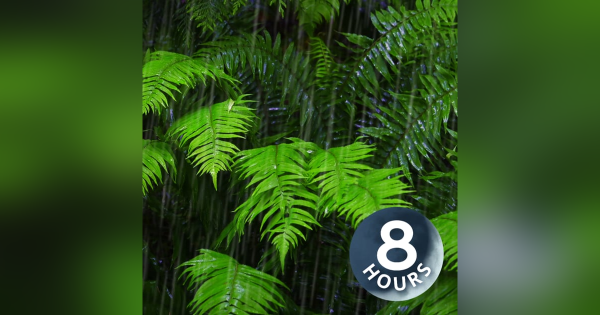 Fall Asleep with 8-Hour Rainforest Ambience | Rain Sounds for Sleeping & Relaxation Fall Asleep with 8-Hour Rainforest Ambience | Rain Sounds for Sleeping & Relaxation