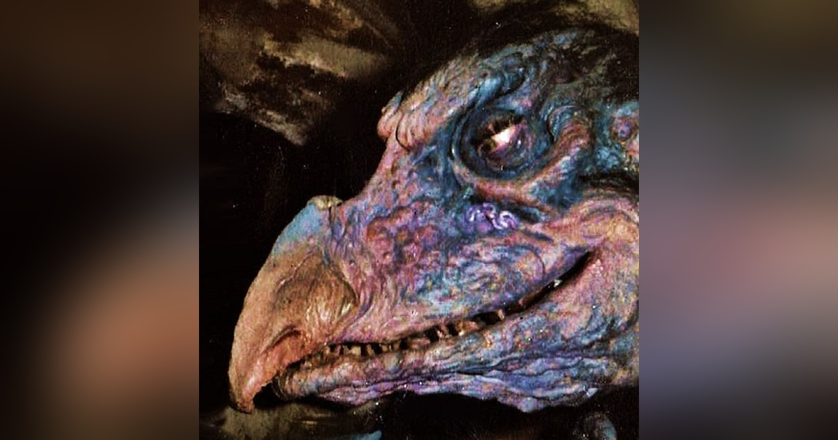 La Bruja Con Cara De Buitre Historias De Terror - REDE La Bruja Con Cara De Buitre Historias De Terror - REDE