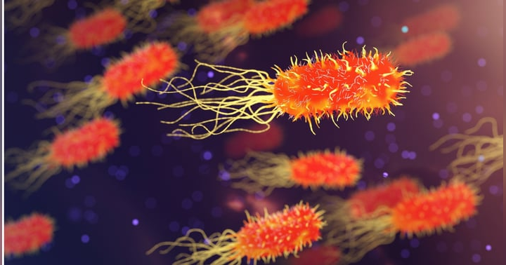 image for Know Your Sepsis