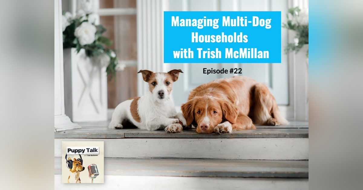Managing Multi-Dog Households with Trish McMillan Managing Multi-Dog Households with Trish McMillan