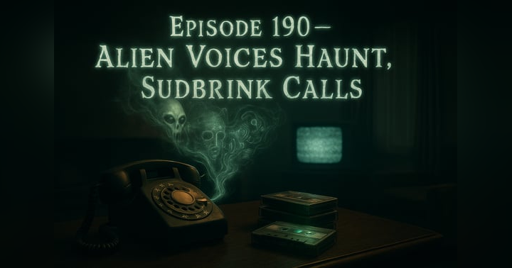 image for Blog Post: The Alien Voices That Haunted Gary Sudbrink
