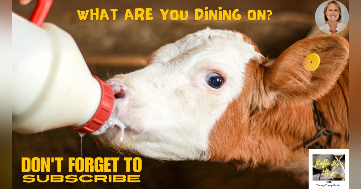 What Are You Dining On? What Are You Dining On?