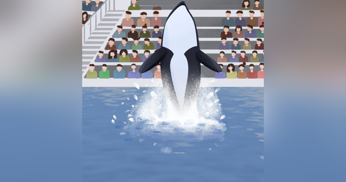 Beneath the Surface: Killer Whales, SeaWorld, and the Truth Beyond Blackfish, by John Hargrove and Howard Chua-Eoan Beneath the Surface: Killer Whales, SeaWorld, and the Truth Beyond Blackfish, by John Hargrove and Howard Chua-Eoan