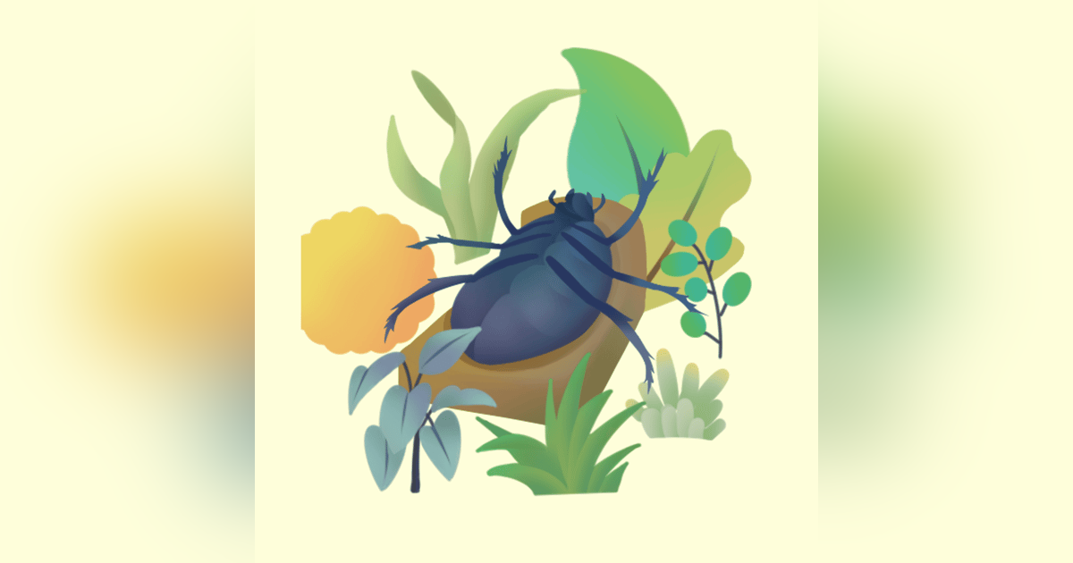 Las Mejores 30 Frases De La Metamorfosis Las Mejores 30 Frases De La Metamorfosis