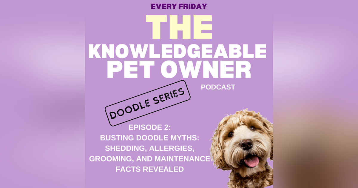 Busting Doodle Myths: Shedding, Allergies, Grooming, and Maintenance Facts Revealed Busting Doodle Myths: Shedding, Allergies, Grooming, and Maintenance Facts Revealed