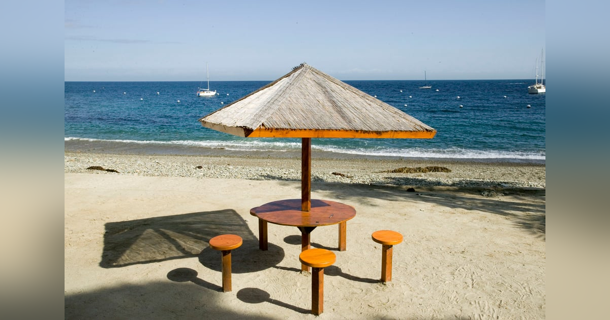 The Surrogate Friend The Surrogate Friend