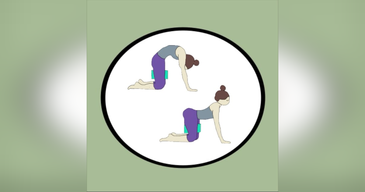 Cat cow with a side of block engagement Cat cow with a side of block engagement