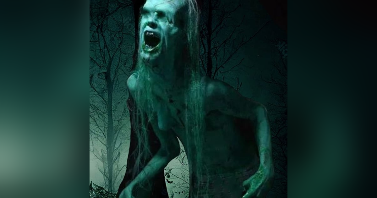 La Casa En El Bosque Historias De Terror - REDE La Casa En El Bosque Historias De Terror - REDE