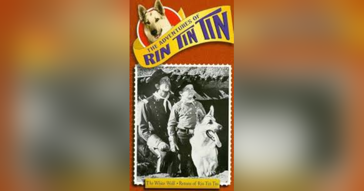 RIN-TIN-TIN AND THE LEGEND OF THE WHITE BUFFALO RIN-TIN-TIN AND THE LEGEND OF THE WHITE BUFFALO