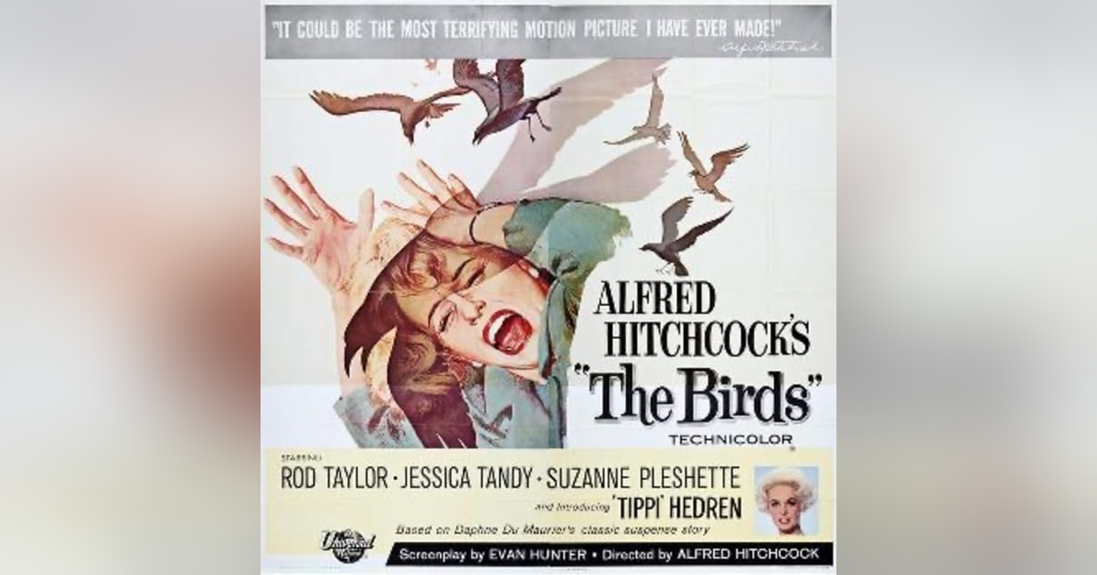 The Birds' 60th Anniversary. Talking with Shaun Chang of the Hill Place Movie and TV Blog. The Birds' 60th Anniversary. Talking with Shaun Chang of the Hill Place Movie and TV Blog.