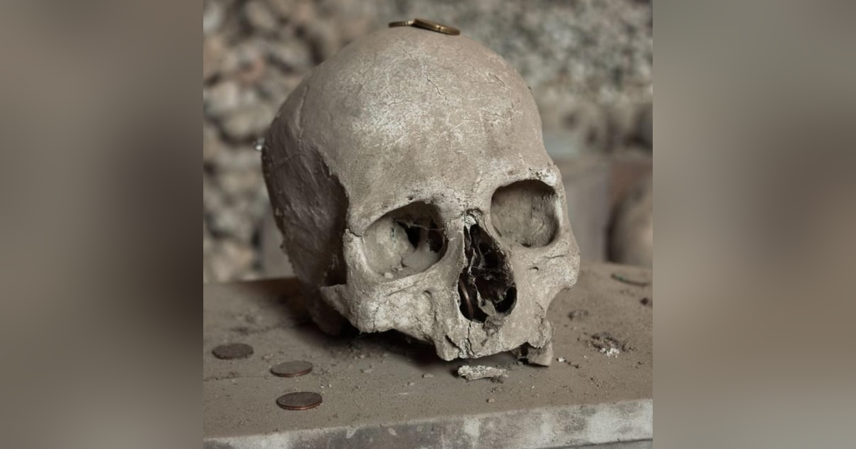 Brutalized Corpses Brutalized Corpses