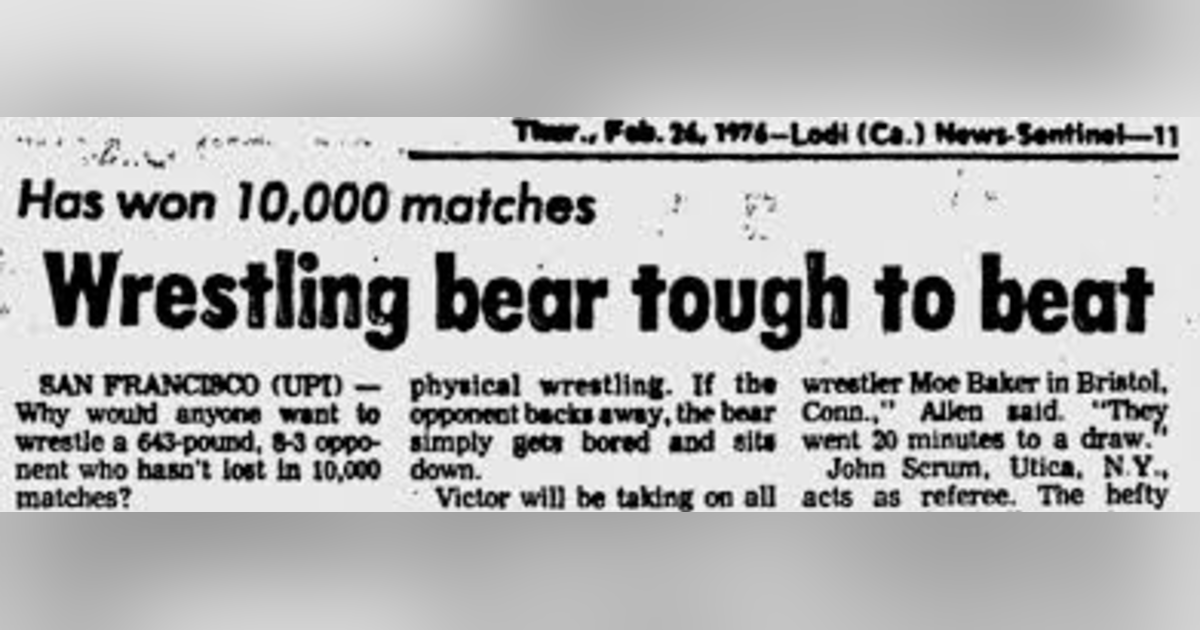 NO BRAINS VS. BRAWN: THE DAYS WHEN BEAR-WRESTLING RULED NO BRAINS VS. BRAWN: THE DAYS WHEN BEAR-WRESTLING RULED