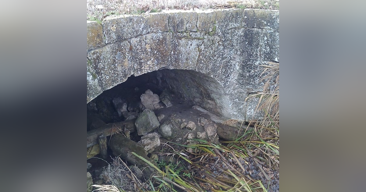 Historias de Miedo Mayo 31 de 2022 ME QUERIAN PERDER Historias de Miedo Mayo 31 de 2022 ME QUERIAN PERDER