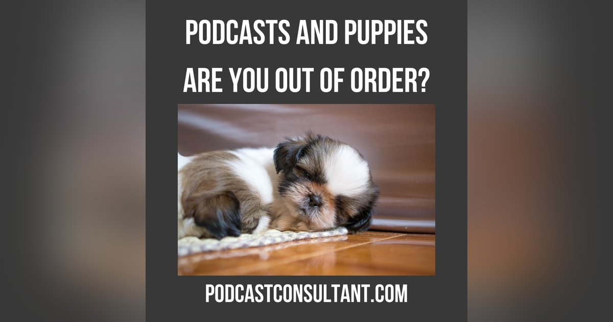 Puppies and Podcasts: The Weird Connection You Didn’t Know You Needed Puppies and Podcasts: The Weird Connection You Didn’t Know You Needed