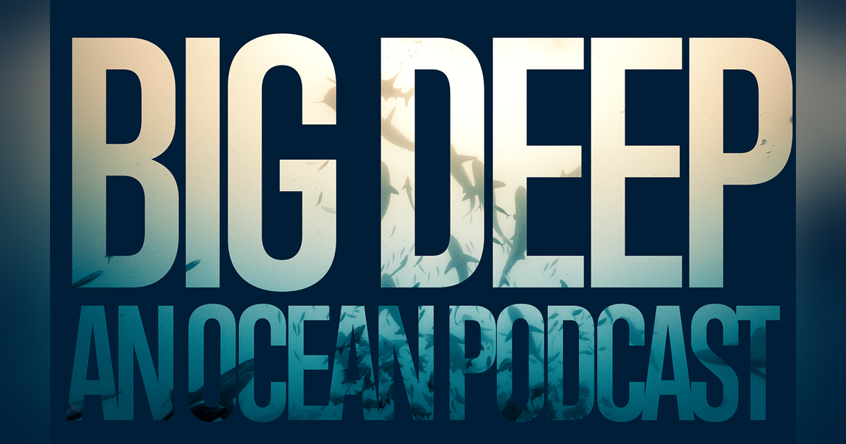 Season Two Is Coming! A Sneak Preview Season Two Is Coming! A Sneak Preview