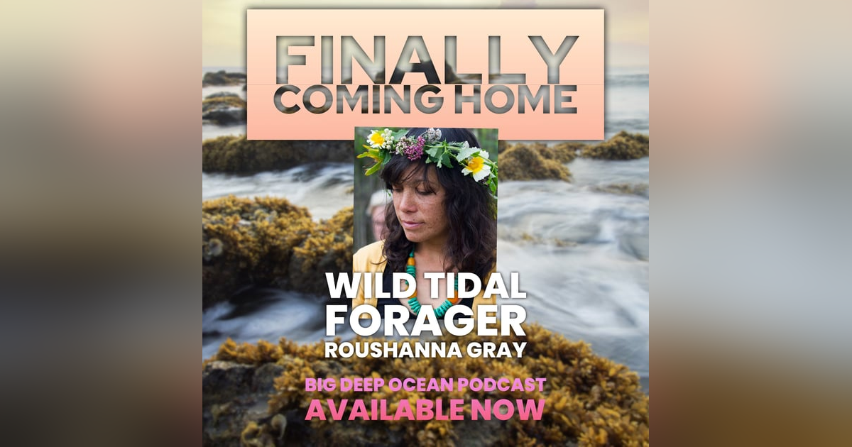 Finally Coming Home: Ocean Forager Roushanna Gray's Culinary Journey Through South African Tidepools Finally Coming Home: Ocean Forager Roushanna Gray's Culinary Journey Through South African Tidepools