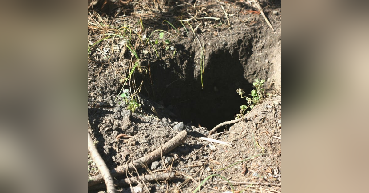 Historias de Miedo Octubre 15 de 2021 EL TESORO NO ERA PARA EL Historias de Miedo Octubre 15 de 2021 EL TESORO NO ERA PARA EL