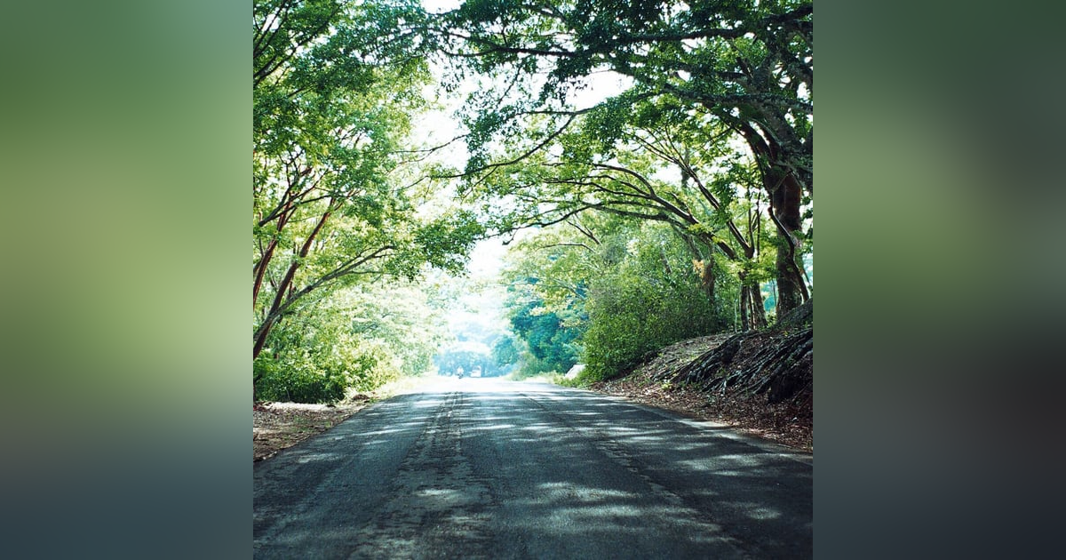Historias de Miedo Octubre 1 de 2024 UN CAMINO PELIGROSO Historias de Miedo Octubre 1 de 2024 UN CAMINO PELIGROSO