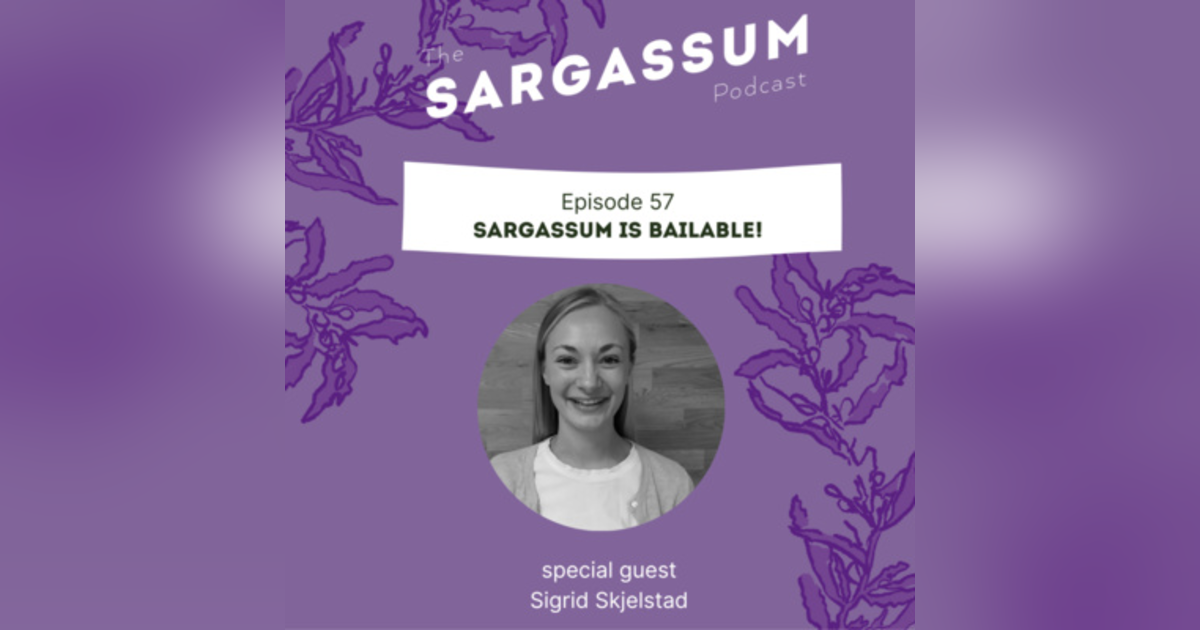 E57 Sargassum is Bailable! E57 Sargassum is Bailable!