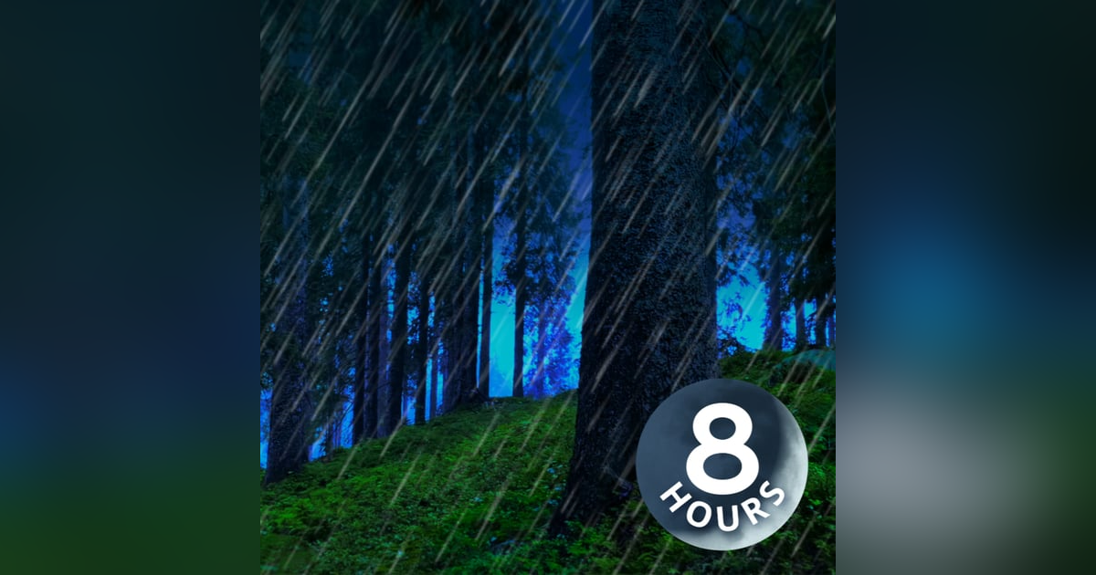 Relaxing Rain Sounds Deep in the Woods 8 Hours Relaxing Rain Sounds Deep in the Woods 8 Hours
