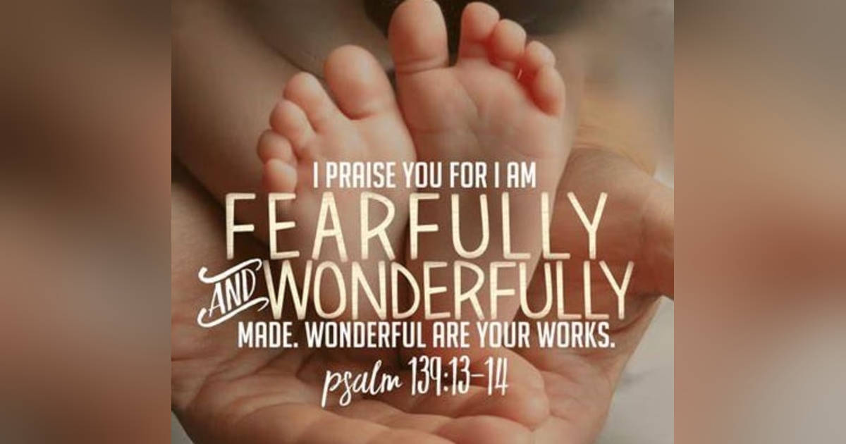 Where Was I Before I Was Born? Did I Exist Before I Was Born?Is There Knowledge and Understanding of God Too Great For Us To Comprehend? Reading Psalm 139-140 #335 Where Was I Before I Was Born? Did I Exist Before I Was Born?Is There Knowledge and Understanding of God Too Great For Us To Comprehend? Reading Psalm 139-140 #335