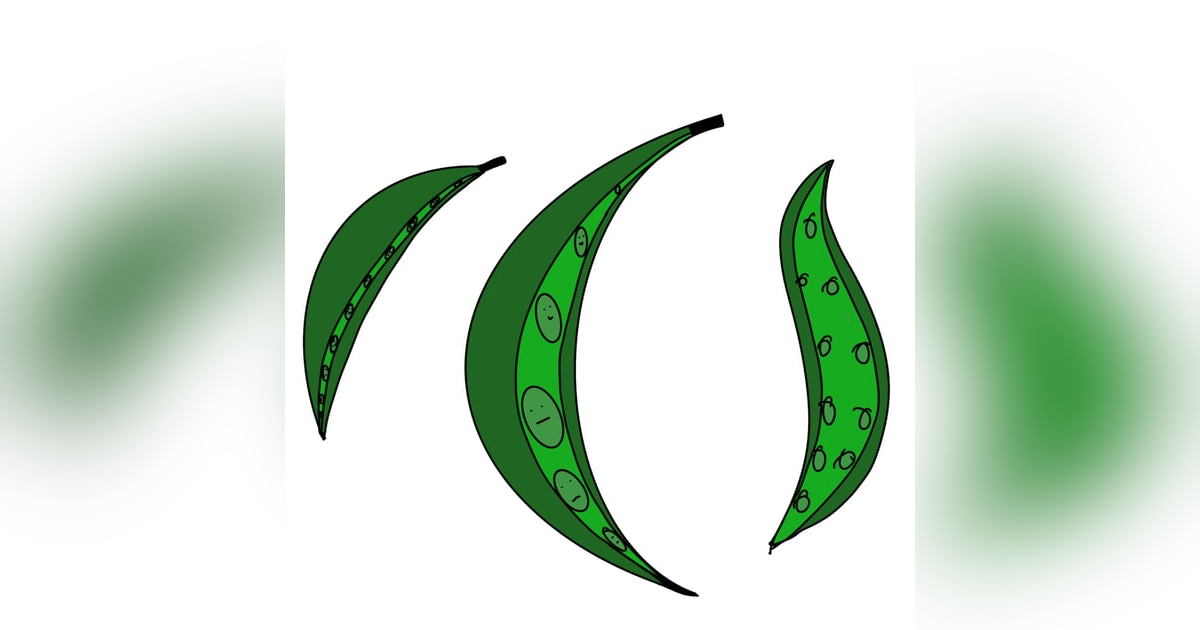 Herned ei lähe kotti Herned ei lähe kotti