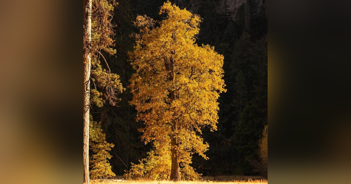 Cómo vivir una vida extraordinaria Cómo vivir una vida extraordinaria