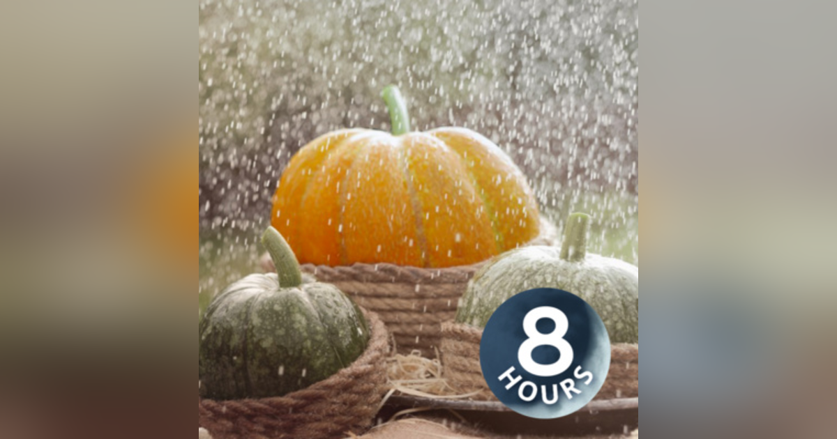 Fall Rain Sounds to Sleep 8 Hours I Relaxing Storm Ambience at Pumpkin Patch Fall Rain Sounds to Sleep 8 Hours I Relaxing Storm Ambience at Pumpkin Patch