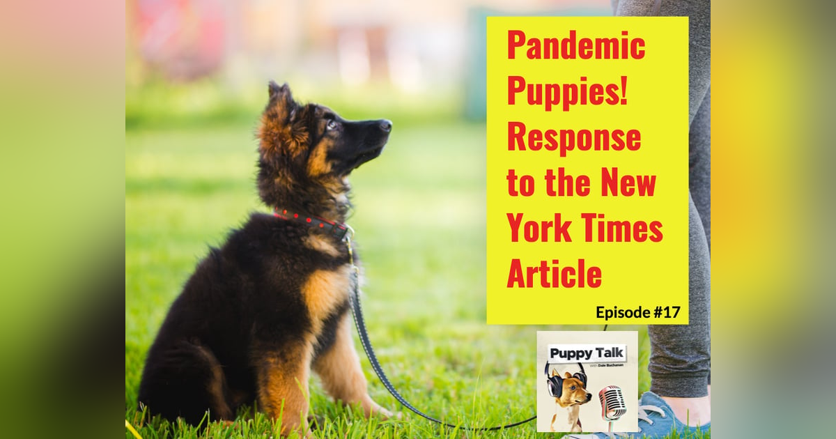 Pandemic Puppies - Response to the New York Times Article Pandemic Puppies - Response to the New York Times Article