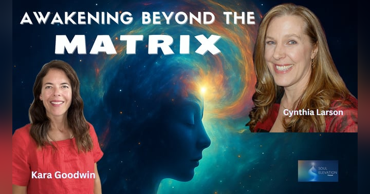 image for Reality Shifts, Quantum Consciousness & Ascension Timelines - Cynthia Sue Larson